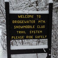 BMSC Groomer (@bmscgroomer) 's Twitter Profile Photo