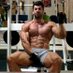Nicolae Lupsor (@nicolaefitness) Twitter profile photo
