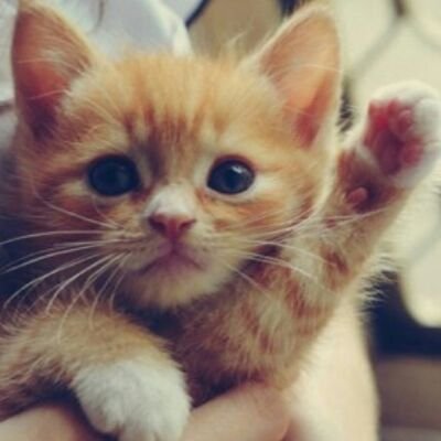 سبحان الله وبحمده سبحان الله العظيم