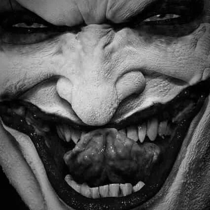 dillonriggs2002's profile picture. 