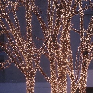 Lights can be purchased from now!