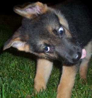 cvrle77's profile picture. Funny guy