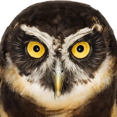 solheimconsult's profile picture. Writer. Business Consultant.
Interest: Literature, music, photography, nature and philosophy