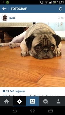 hacerdrgn's profile picture. 