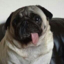 np_parry's profile picture. 