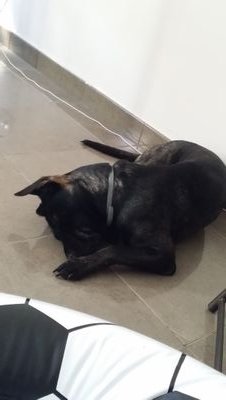 Jadm82Ma's profile picture. 