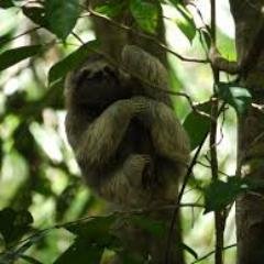 TheFoodie123's profile picture. Just a student who loves Web Design!