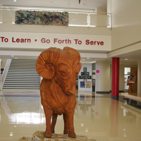 HHSMentors14's profile picture. 