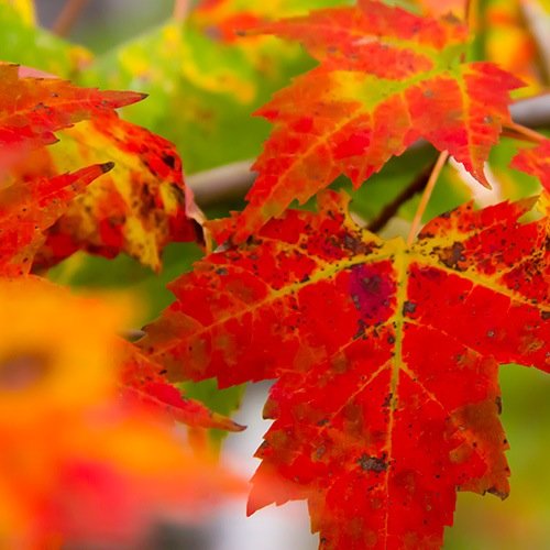 EurekaRetreat's profile picture. A retreat, studio, and guest house focusing on the arts and better living.