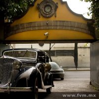 Toriello Guerra (@tg_tlalpan) 's Twitter Profile