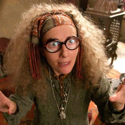Profesora de Adivinación en el Colegio Hogwarts de Magia y Hechicería. Tataranieta de la célebre vidente Cassandra Trelawney.