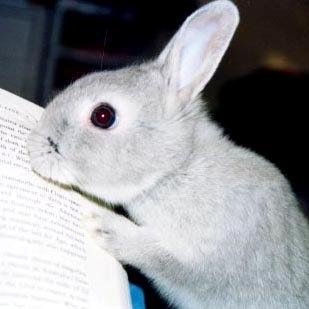 jonisue3's profile picture. 