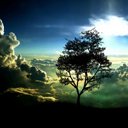 Theresa Wright - @Trelynn34Wright - Twitter