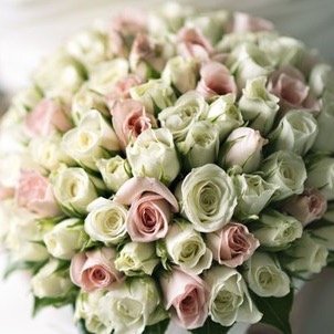 Professional cinematography & photography. WEDDING_BIRTHDAY_NEWBORN_EVENTS_LOVE & FAMILY STORY. Based in California.