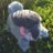 MrIanGower's profile image