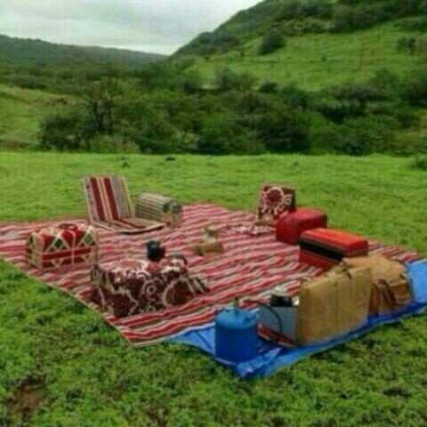 dz727s's profile picture. 