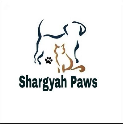 مهتمة بحقوق الحيوان 🐾 | السعودية ، الشرقية📍  Instagram: shargyah_paws