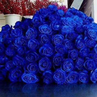 كاتب وباحث أكاديمي في علوم اللغويات التطبيقية