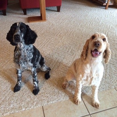 HometownVClinic's profile picture. 