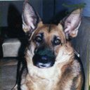  juan jose mateos - @juan194501 - Twitter