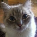 josh mather - @mather_josh - Twitter