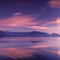 Hood Canal Visitor (@hoodvis) 's Twitter Profile