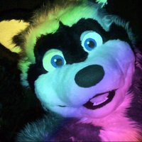 Trash )'( Panda! (@kenaidawg) 's Twitter Profile