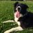 HJobling's profile image