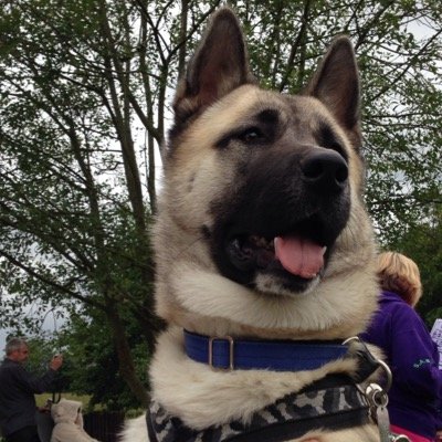 carl_j_plumb Profile Picture
