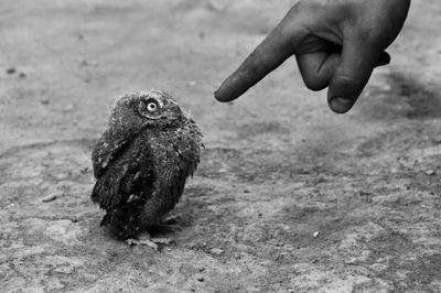 lictor74's profile picture. 