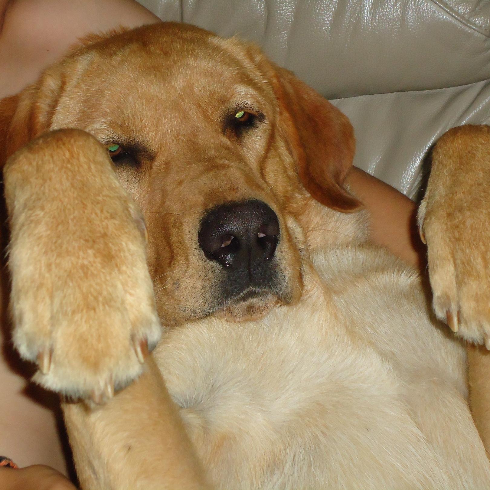 andymathieson3's profile picture. 