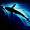 Jose Ingram - @diveringram - Twitter