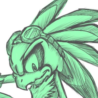 I'll show you what riding an extreme gear is all about. Your just a beginner, and a lot more pathetic than I expected! #SonicRP/#SonicTwitter