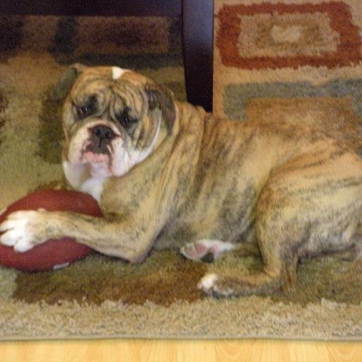 ThatFLAgirl's profile picture. 