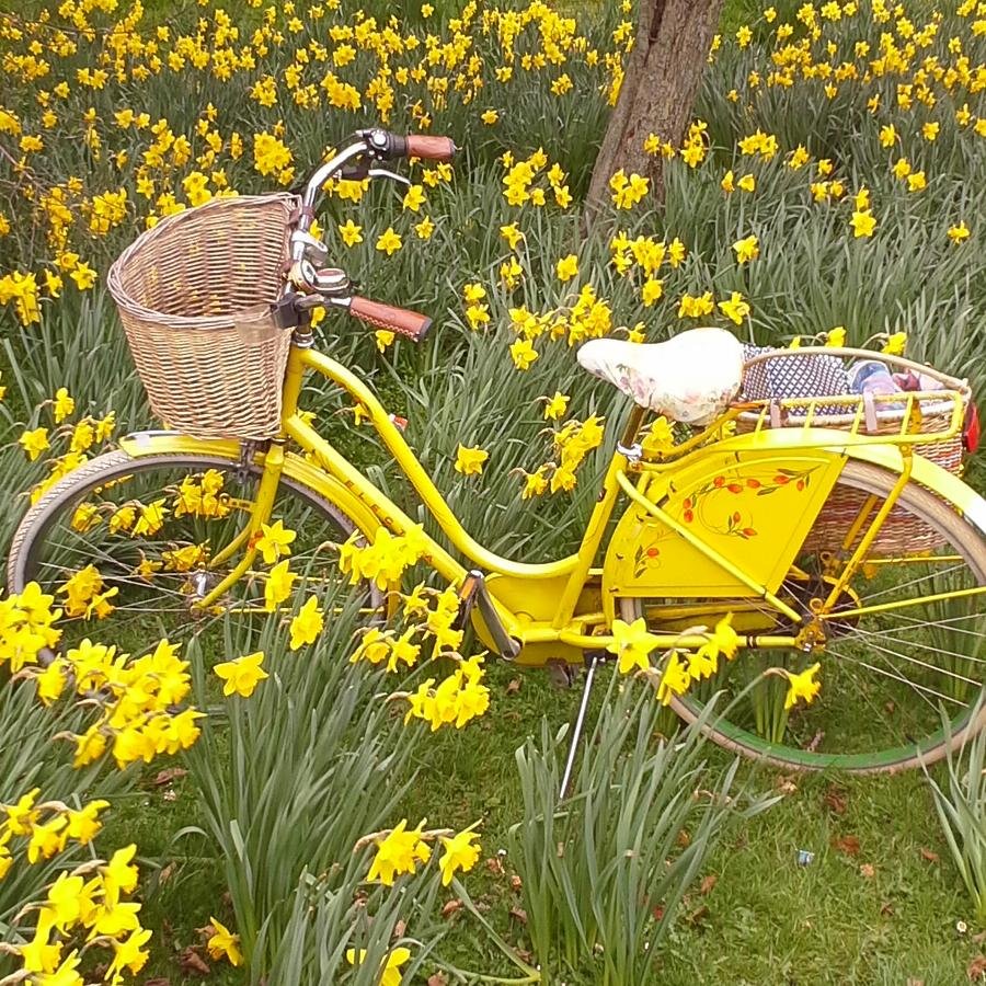 writer, painter, dreamer, explorer, mother, grandmother and yellow bicycle owner. 'Everything is interesting'