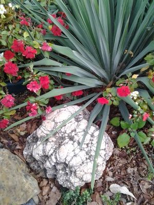 heuser_taylor's profile picture. hi i am a cheerleader at TNTcomets my school is rock creek