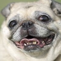 LemarsLies's profile picture. message me if you have anything