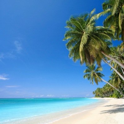 yahiarazook1's profile picture. 