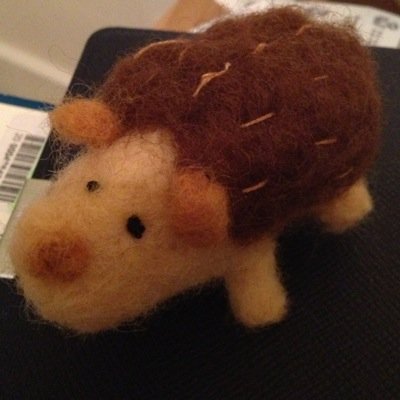 Hedgepigcritter's profile picture. Sarah is a critter who loves hedgepigs and books and especially books about hedgepigs.