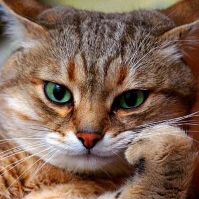 o191olga's profile picture. 