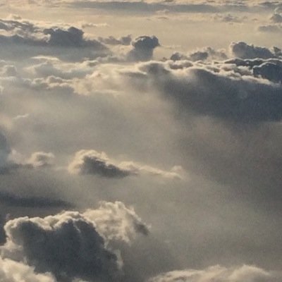 HananShu's profile picture. استشاري وأستاذ مساعد علاج عصب وجذور الأسنان