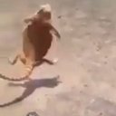 Blake Paxton - @Zilleq - Twitter