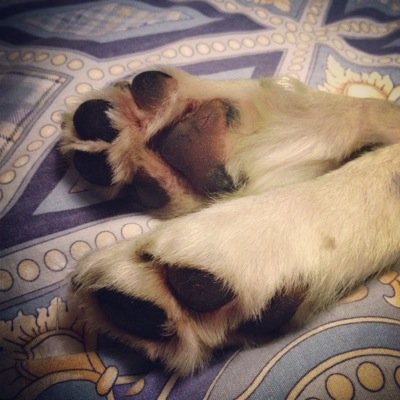 AmbyVilla's profile picture. 