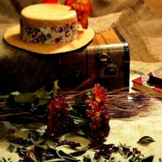 at5eelk7771's profile picture. 