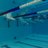 PWswimming's profile image