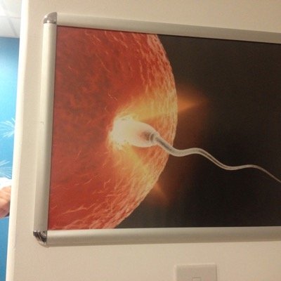 The Senior Infertility Nurses Group provides peer support & education to all fertility nurses working & caring for individuals seeking fertility treatment.
