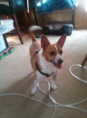 Moffatt966's profile picture. Yikes