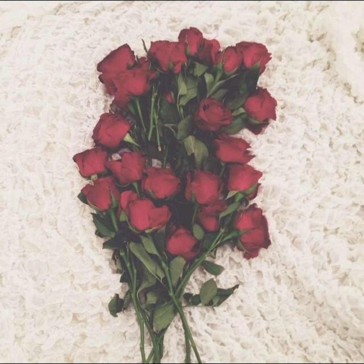 anggel221's profile picture. احفظ الله يحفظك 💙.