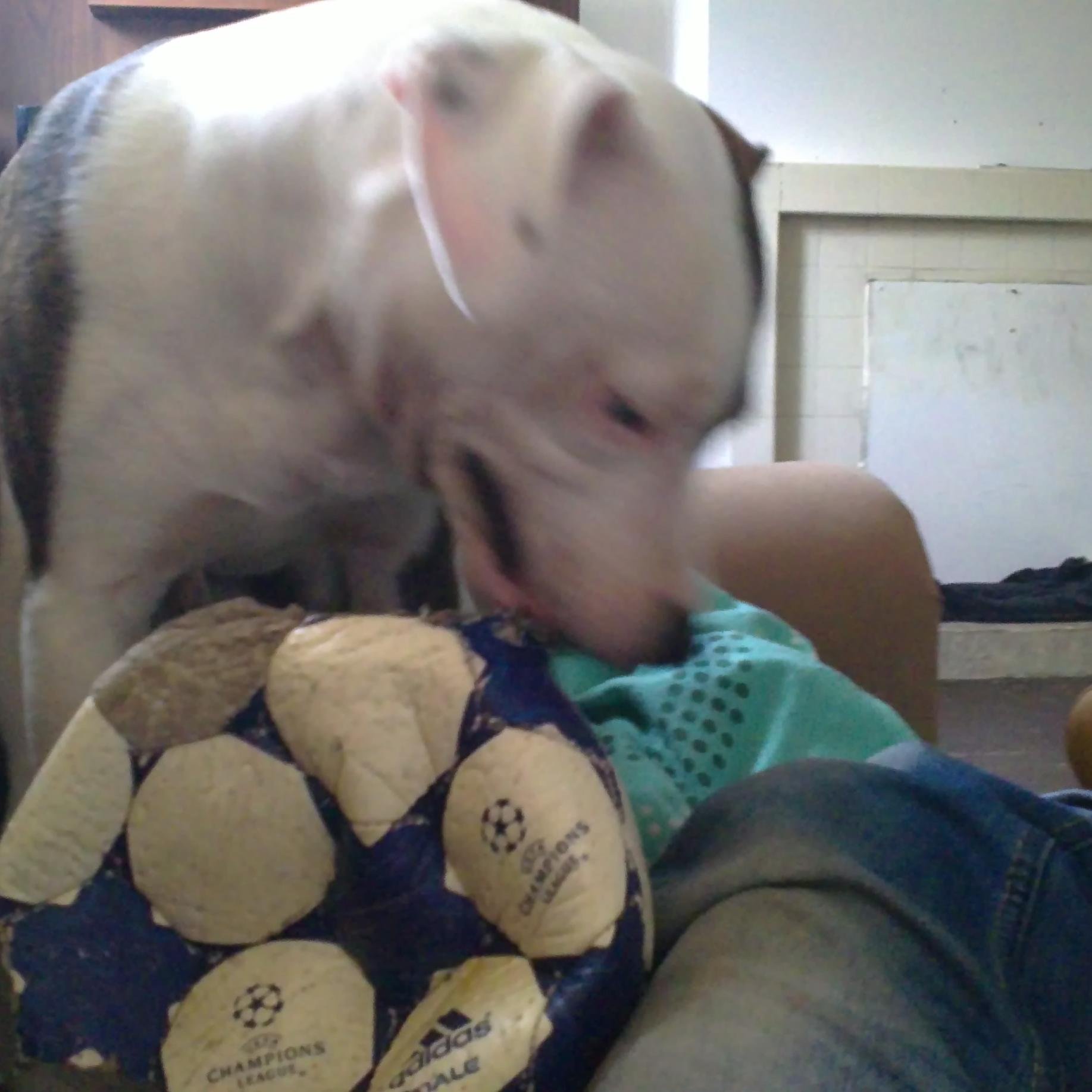 romivlonjati's profile picture. it does not matter