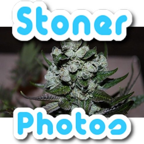 MyStonerPhotos Profile Picture
